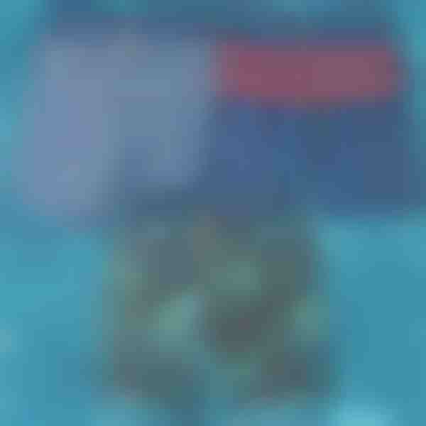 Rýchloschnúce plavky | TOGGIES