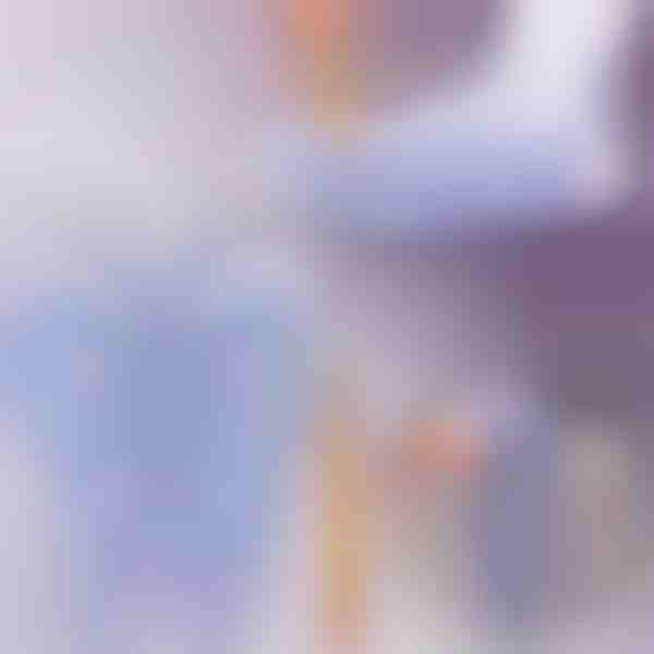 Aktivujte body zdravia – reflexné ponožky pre každodennú masáž | FEETRA